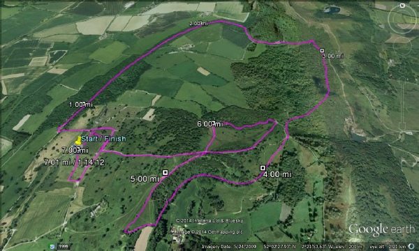 Eastnor Magnificent Seven